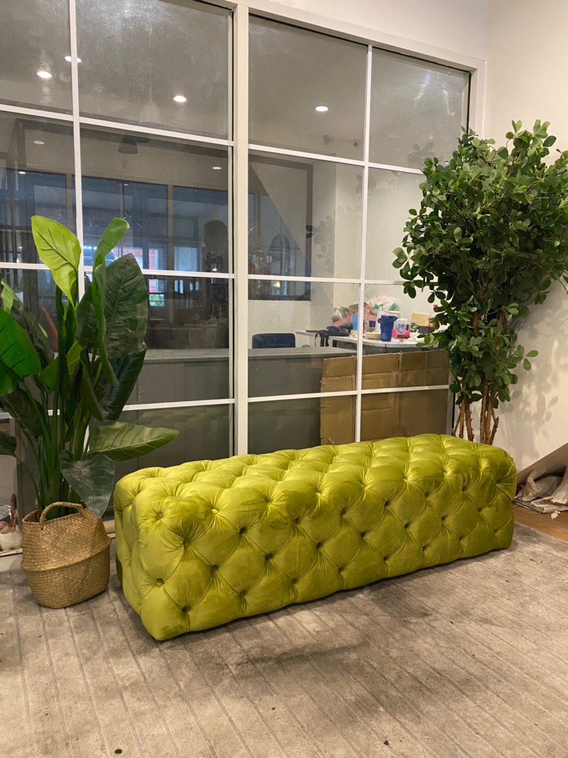 รูปภาพ 4-21-21 12 29 49